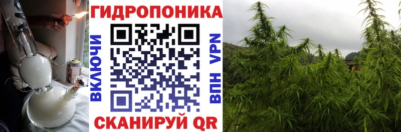 МАРИХУАНА SATIVA & INDICA  наркошоп  hydra как зайти  Волгореченск 